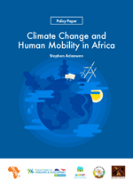 Climate change and human mobility in Africa